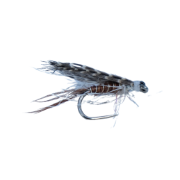 Brown Wing Wet Fly