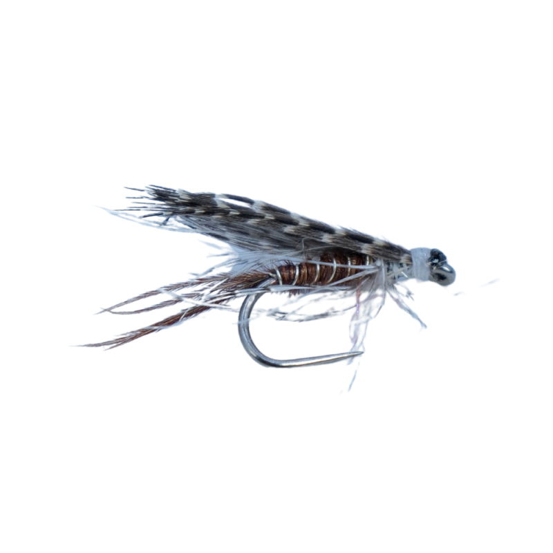 Brown Wing Wet Fly