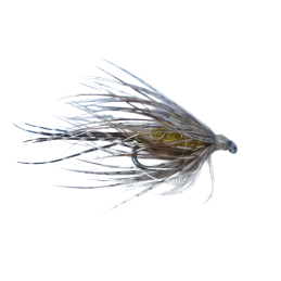 Spider Wet Fly