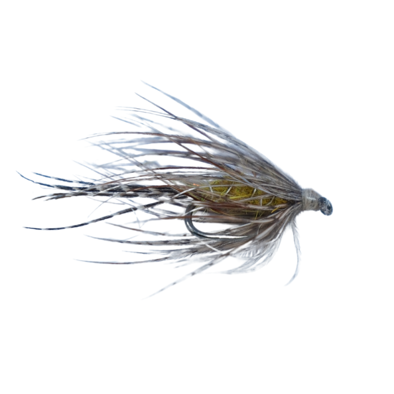 Spider Wet Fly