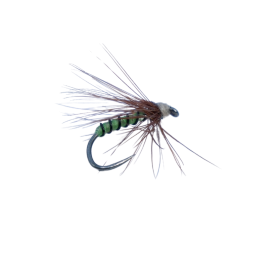 Green River Wet Fly