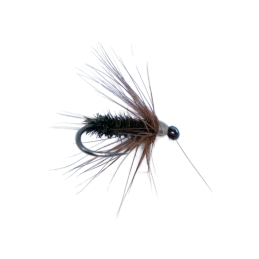Black Spider Dry Fly