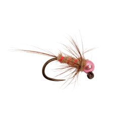 Pojebus Nymph