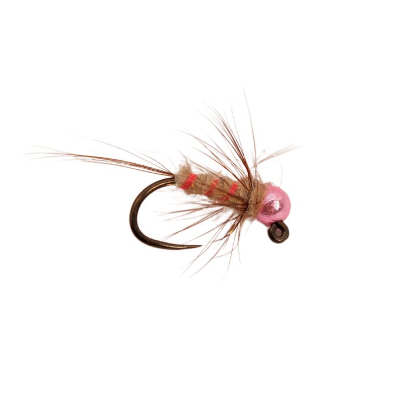 Pojebus Nymph