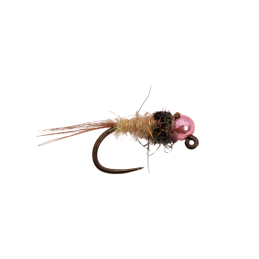 Black Collar Cream Nymph