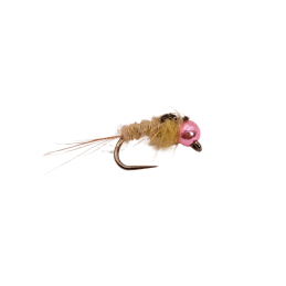 Cream Shield Nymph