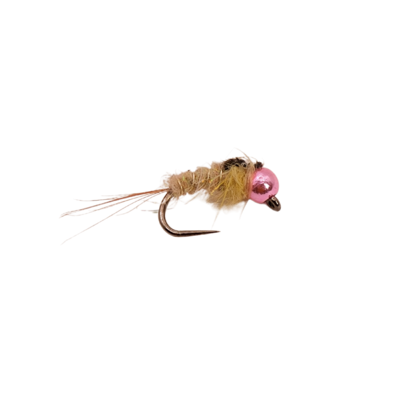 Cream Shield Nymph