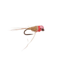 Red Tail Hare Nymph