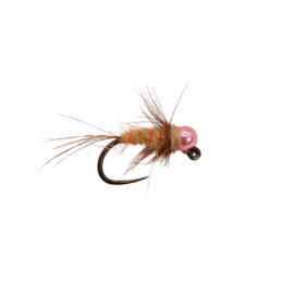 Pojebus Nymph