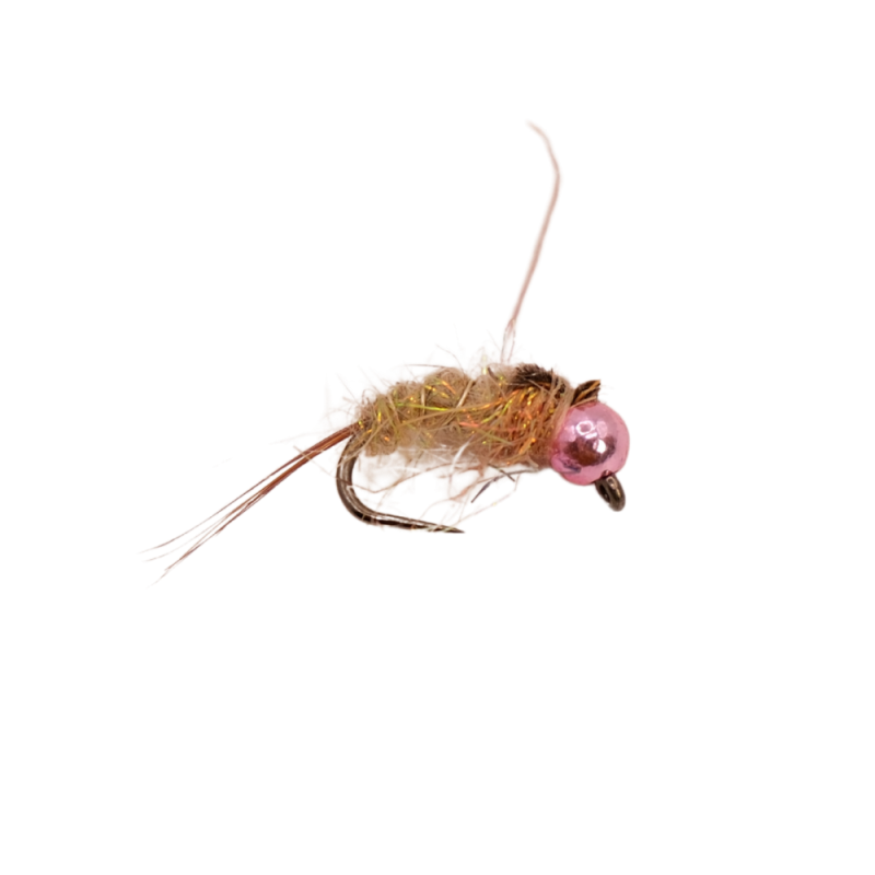Hare Shield Nymph