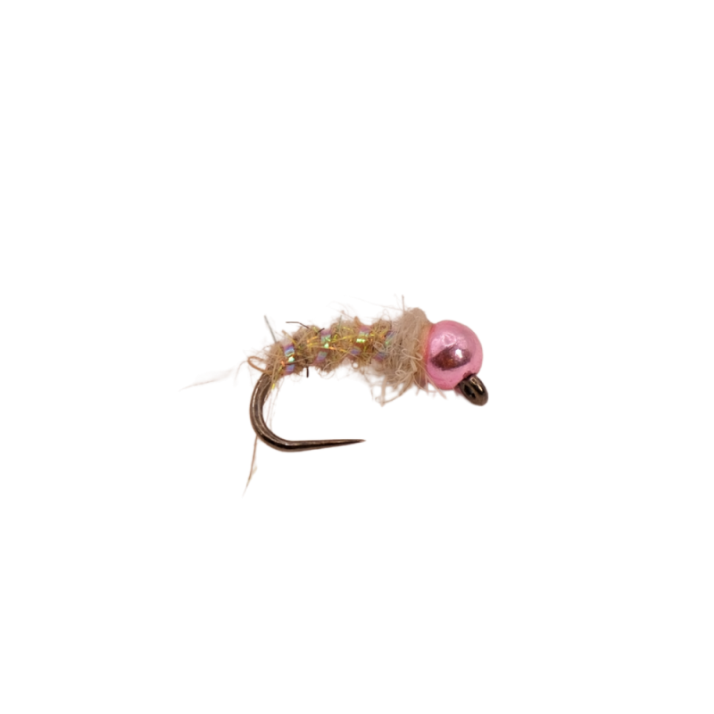 Cream Flash Nymph