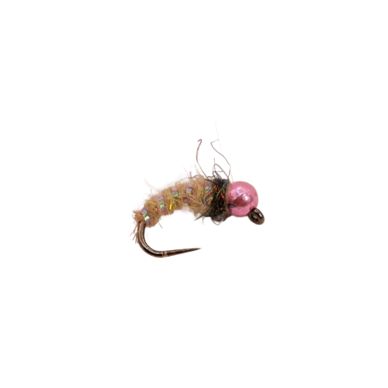 Cream Flash Nymph