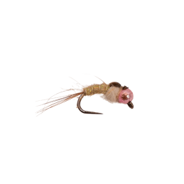 Cream Hare Nymph