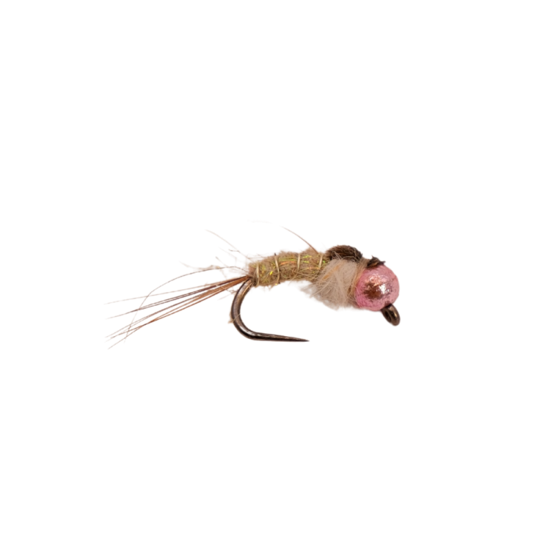 Cream Hare Nymph
