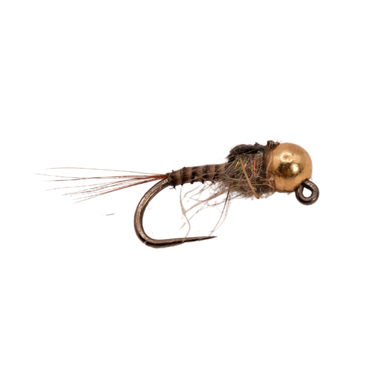 Brown Classic Quill