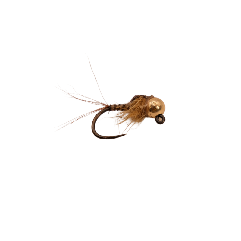 Brown Pulse Quill