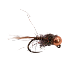 Black Veil Quill