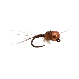 Brown Veil Quill