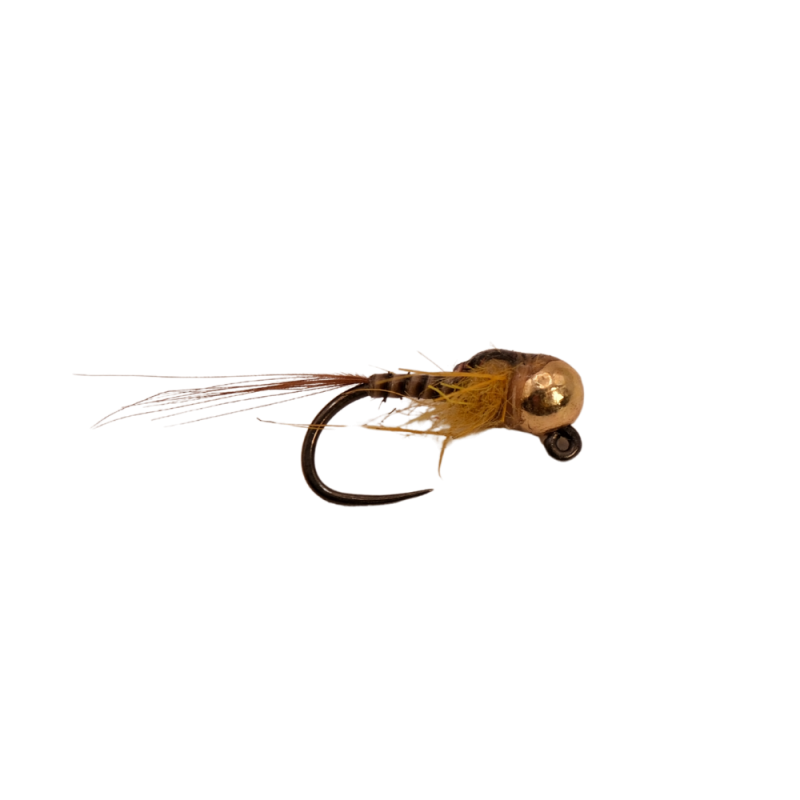 Orange Glow Quill