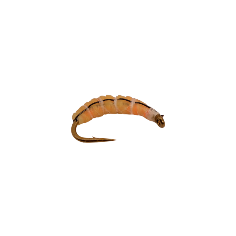 Orange Glow Larva