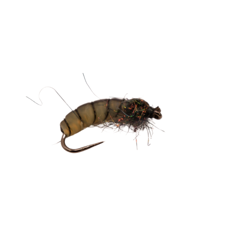 Dajana Stripe Larva