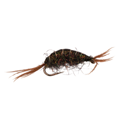 Black Spider Scud