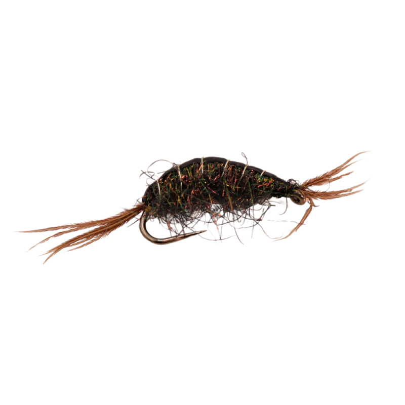 Black Spider Scud