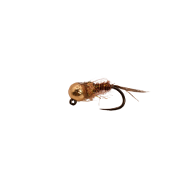 Copper Collar Brown Nymph