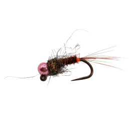 Orange Tag Brown Nymph