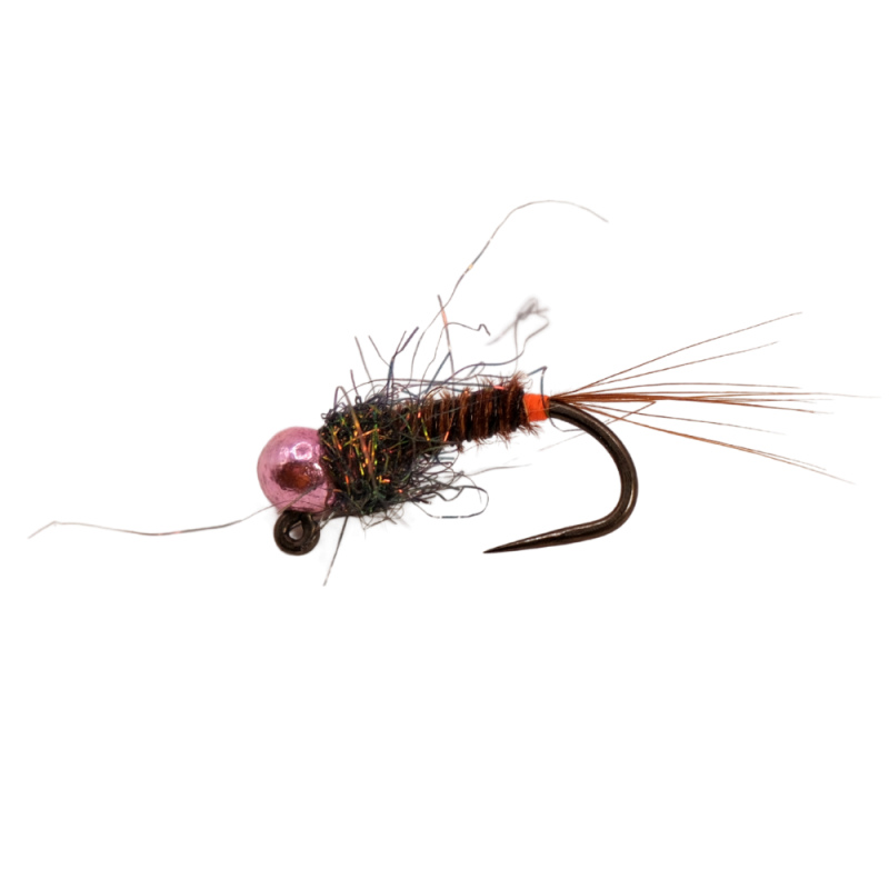 Orange Tag Brown Nymph