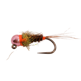 Orange Dot Brown Nymph