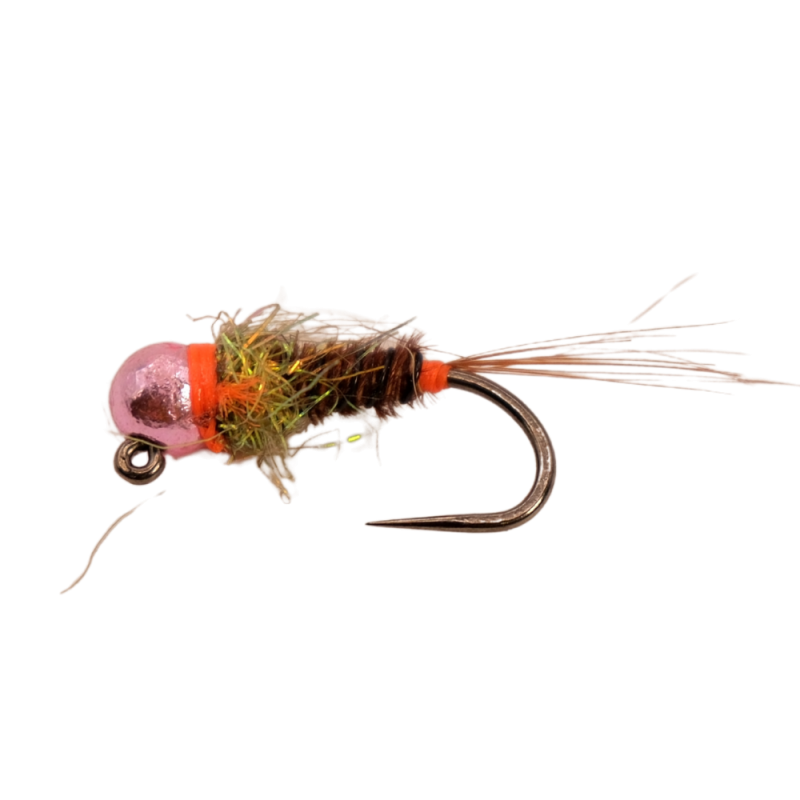Orange Dot Brown Nymph