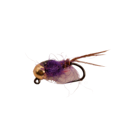 Purple Accent Brown Nymph