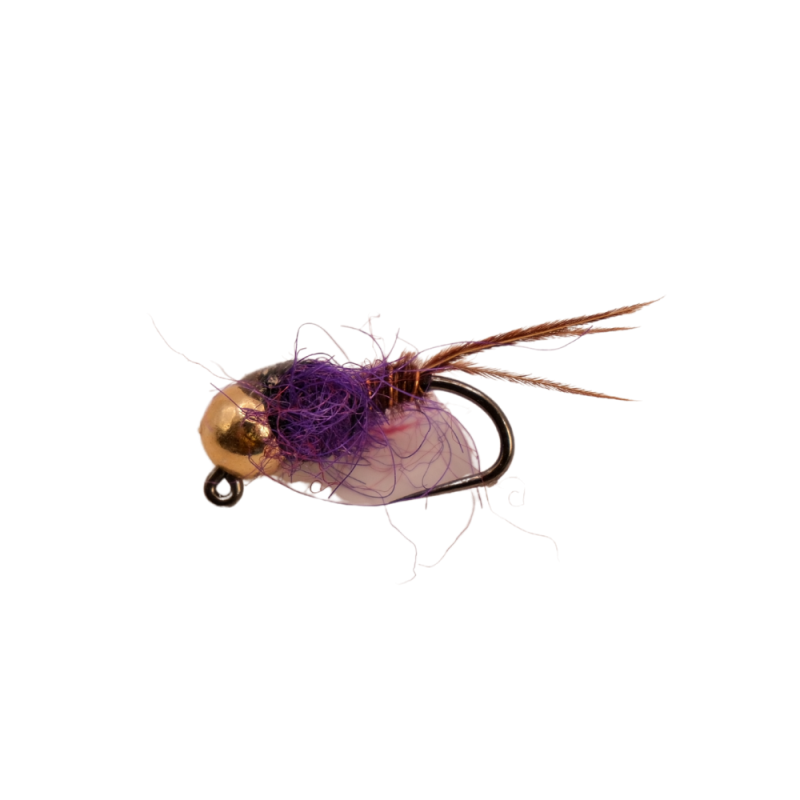 Purple Accent Brown Nymph