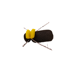 Yellow Tag Black Beetle
