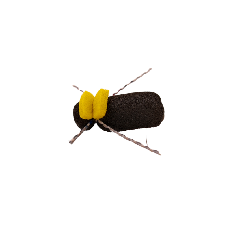 Yellow Tag Black Beetle
