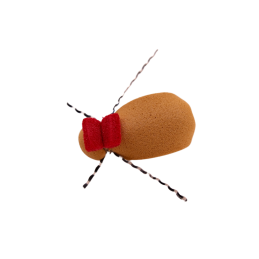 Red Ember Beetle