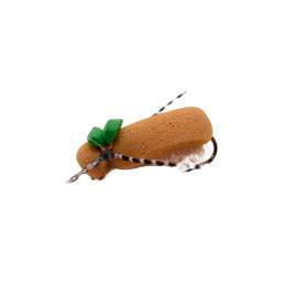Olive Tag Beetle