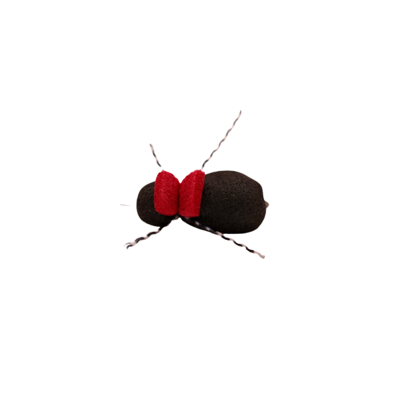 Red Tag Black Beetle