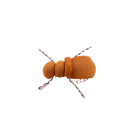 Light Segment Beetle