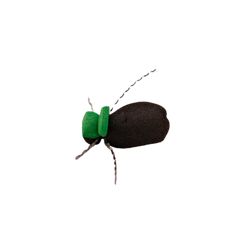 Green Tag Black Beetle
