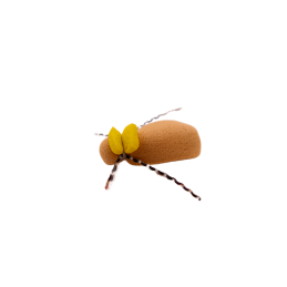 Golden Tag Beetle