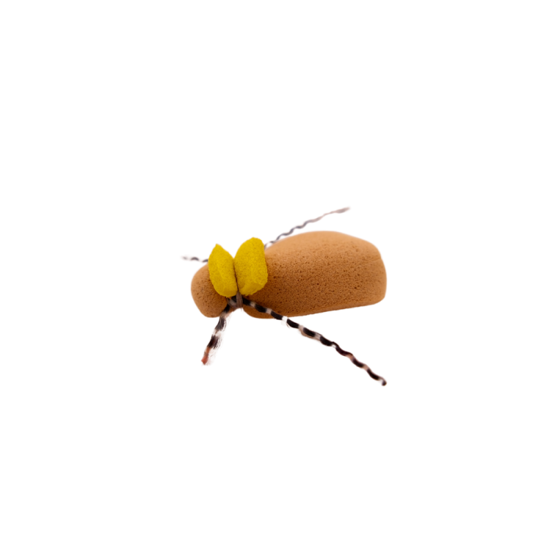 Golden Tag Beetle
