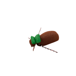 Green Tag Beetle