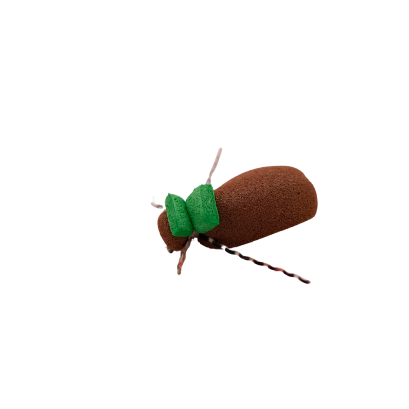 Green Tag Beetle