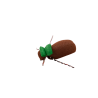 Green Tag Beetle