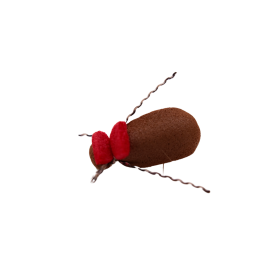 Red Tag Beetle