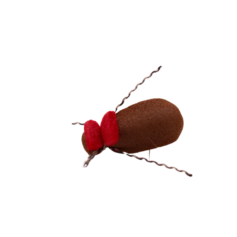 Red Tag Beetle