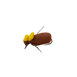 Yellow Tag Beetle
