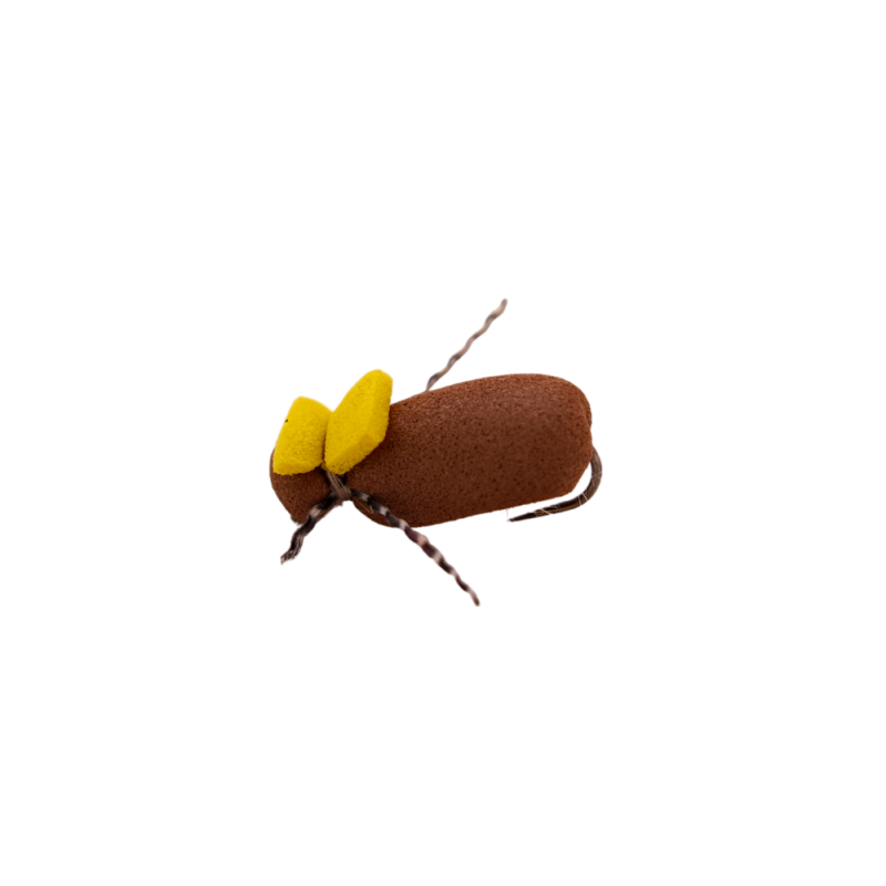 Yellow Tag Beetle
